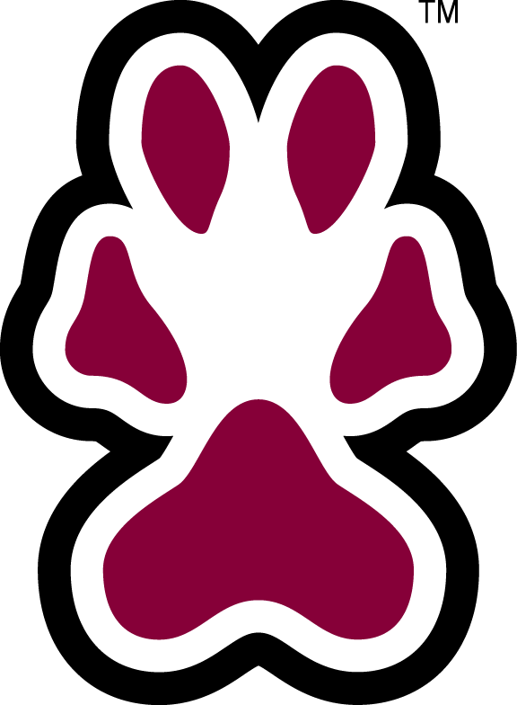 Southern Illinois Salukis 2001-2019 Secondary Logo diy iron on heat transfer